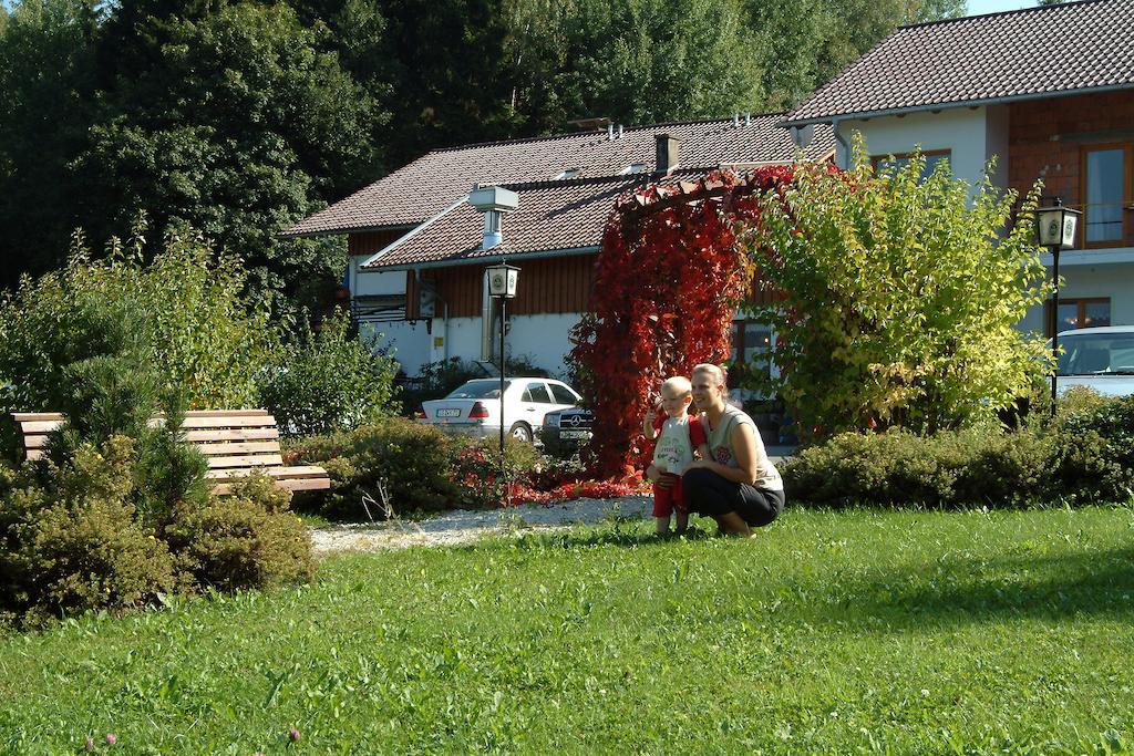 Gasthaus Pension Sternknockel Bodenmais Extérieur photo
